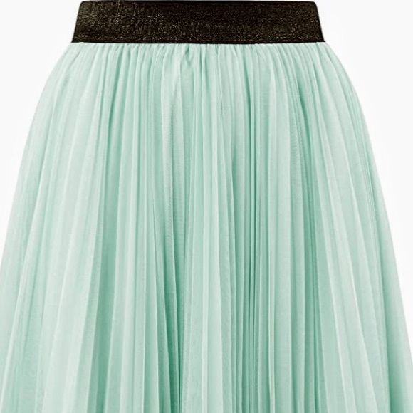 Mint Green Mesh Pleated Skirt - Picture 5 of 8